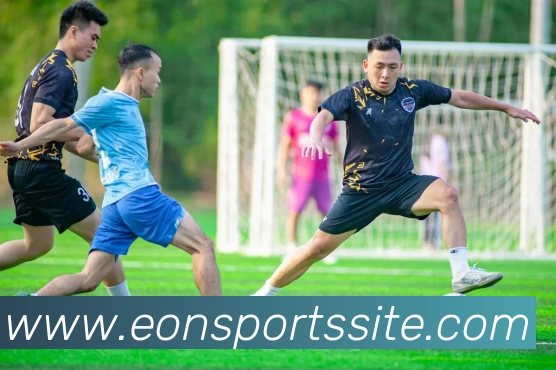 意昂体育平台生态图